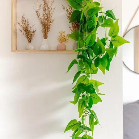 F4 Elegant - Cosy * ستراسبورغ