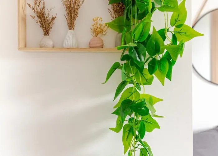 F4 Elegant - Cosy * ストラスブール