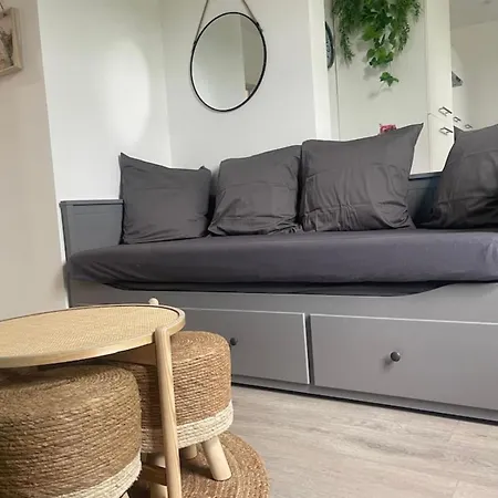 F4 Elegant - Cosy Straatsburg
